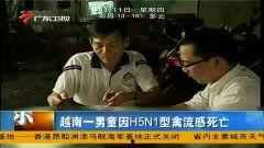 禽流感在线视频观看,在线视频深度解析