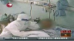 禽流感在线视频观看,在线视频深度解析