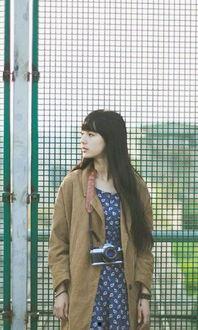 伊人无马在线视频,探寻网络直播的魅力与挑战