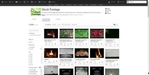 不在线视频素材网站