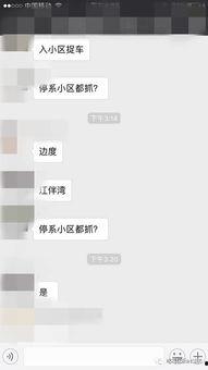 九一社区在线视频连接,共筑和谐邻里情谊