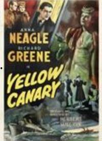 金丝雀在线视频,揭秘虚拟世界的魅力与挑战