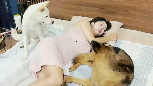 美女和狗在线视频,温馨互动，治愈系在线视频集锦