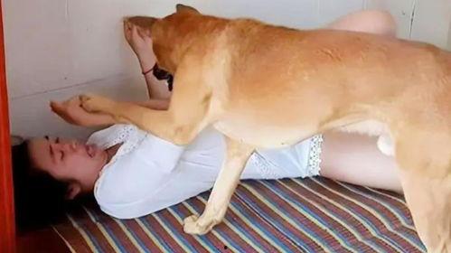 美女和狗在线视频,温馨互动，治愈系在线视频集锦  第2张