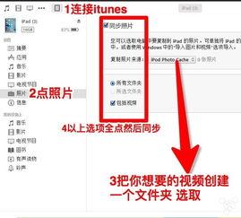 在线视频波更新中文区,探索新趋势与机遇  第2张